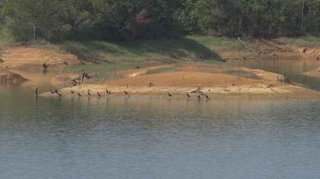 県内ダムの貯水率63.9パーセント、過去10年間で最低に　9月から12月の少雨が影響　県は節水よびかける|TBS NEWS DIG