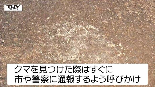 河北町の小学校付近でクマ1頭目撃　先月は町の中心部でも...（山形）|TBS NEWS DIG