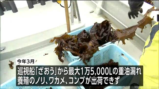海保巡視船の重油流出問題 発生から5か月で海域の安全宣言 海上保安庁の賠償進む 宮城・塩釜港|TBS NEWS DIG