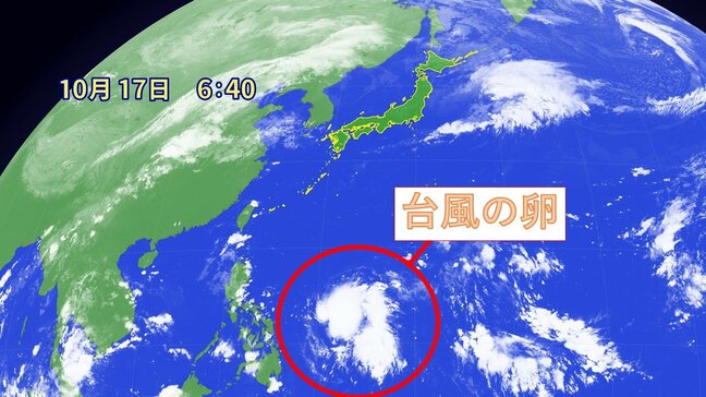 また“台風の卵”=熱帯低気圧 24時間以内に「台風」発生へ 台風の「目」に突っ込んだ気象予報士が見た”らせん状の雲”【台風情報】|TBS NEWS DIG