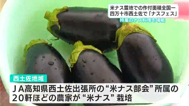 米ナスの作付面積は“全国一” 高知・四万十市西土佐で「ナスフェス」特産のナスを堪能!【高知】|TBS NEWS DIG