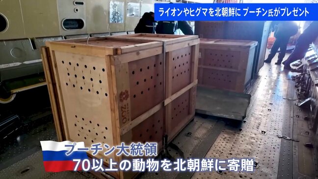 「プーチン大統領が珍しくて貴重な動物を贈った」ヒグマやライオン…プーチン大統領が寄贈した70以上の動物が北朝鮮に到着|TBS NEWS DIG