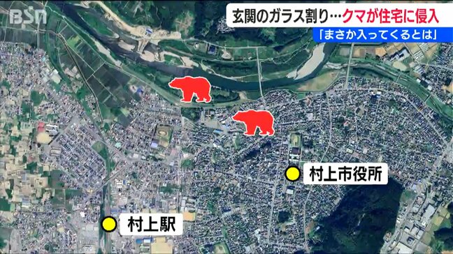 クマが玄関のガラスを割って民家に侵入 住人は2階に逃げて無事 村上市中心部で目撃情報多数|TBS NEWS DIG