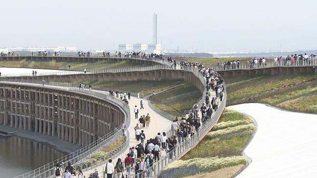 大屋根リングの上で定点観測すると...新しい万博の楽しみを発見!「家から40分で世界旅行」 自慢の足腰で1周2キロ目指す夫婦!自国パビリオンに誇らしげなアイルランド人!|TBS NEWS DIG