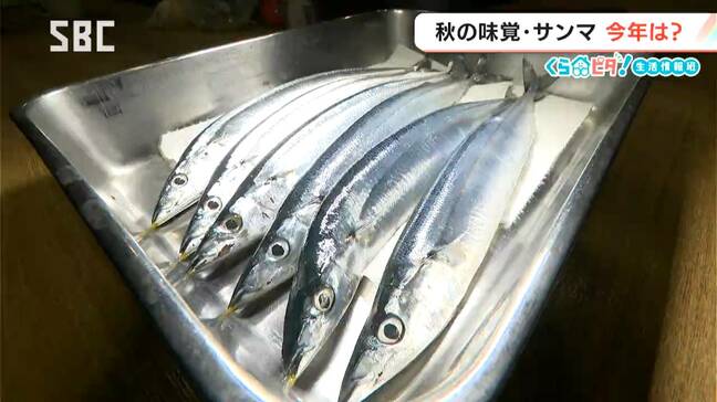 秋の味覚「サンマ」去年は豊漁も…今年は？【くらピタ！】水揚げ量が少なく価格が高い？「身にはうまみがたっぷり」この先どうなる？関係者も消費者も注目！|TBS NEWS DIG