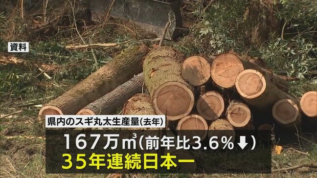 スギ丸太生産量 宮崎県が35年連続日本一|TBS NEWS DIG