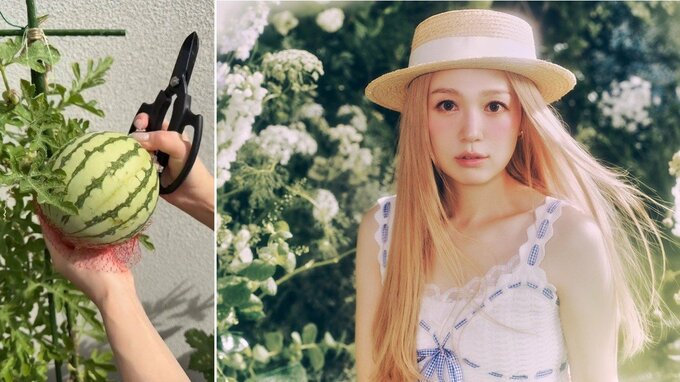 【 西野カナ 】「おいしっ」小玉スイカを〝家のベランダで収穫〟　切る時のかけ声「いきます！」にフォロワー「かわいすぎやろ」|TBS NEWS DIG