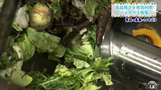廃棄物を利用したバイオガス発電　【SDGs特集】|TBS NEWS DIG