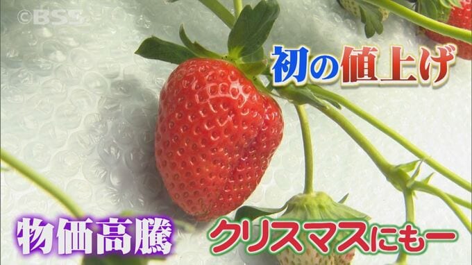 クリスマスの食卓にも値上げの波　オードブルの鶏肉、ケーキの材料にイチゴ…「ほぼ全ての食材費が上がっている」　|　BSSニュース | BSS山陰放送