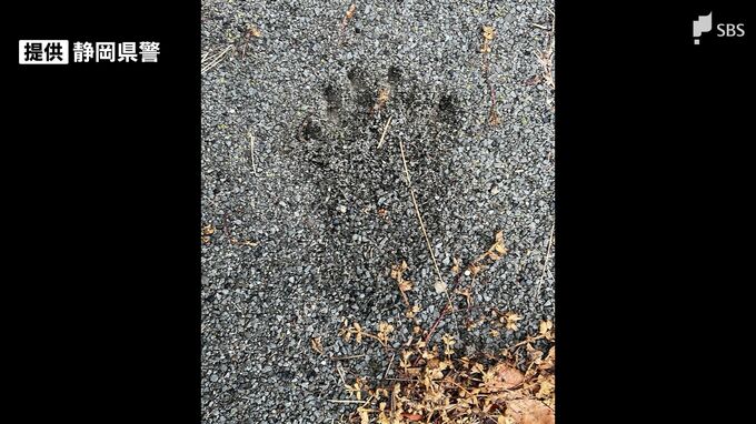 クマの足跡がくっきりと... 公園付近で目撃情報 体長約1メートル トラック運転手が目撃 警察が注意呼びかけ＝静岡・掛川市|TBS NEWS DIG