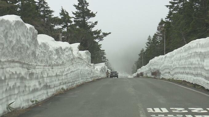 磐梯吾妻スカイライン4月14日（金）再開通　名物“雪の回廊”は約2メートル　福島|TBS NEWS DIG