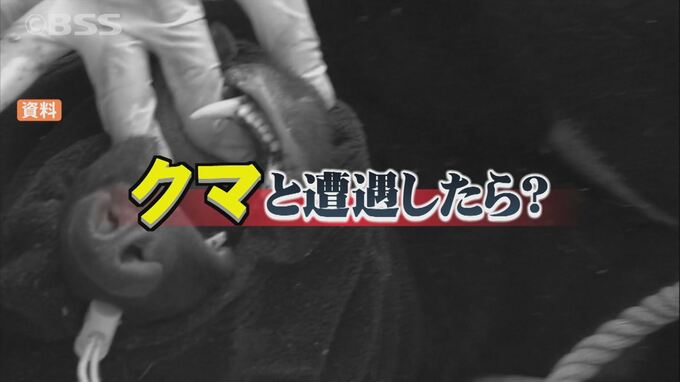 クマと遭遇…正しい対処法は？研修会で学ぶ　鳥取県　|　BSSニュース | BSS山陰放送