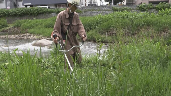 クマ出没を未然に防ぐため　東北絆まつりを前に中津川河川敷の刈り払い行われる　盛岡市|TBS NEWS DIG