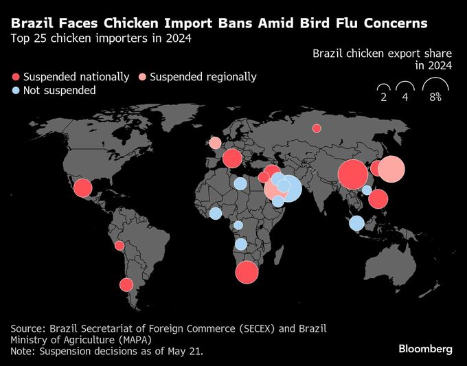 鶏肉輸出大国ブラジルで鳥インフル検出、出荷停止広がり世界に波紋