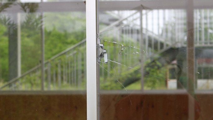 閉校した小学校で窓ガラス割られる　岩手・一関市　市内では5月から同様の被害相次ぐ　|　IBC NEWS | IBC岩手放送