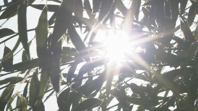 【北陸地方の3ヵ月予報】 太平洋高気圧とチベット高気圧はこの夏も張り出しは強く高温に 熱中症対策を万全に　|　石川県のニュース｜MRO北陸放送