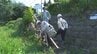 水辺のレジャーが増える夏休みを前に河川の安全点検行われる　盛岡市　|　IBC NEWS | IBC岩手放送
