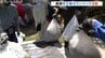 大雨で被災した富山・高岡市で災害ボランティアの活動開始 床上浸水3棟床下浸水73棟　|　富山のニュース｜天気・防災｜チューリップテレビ