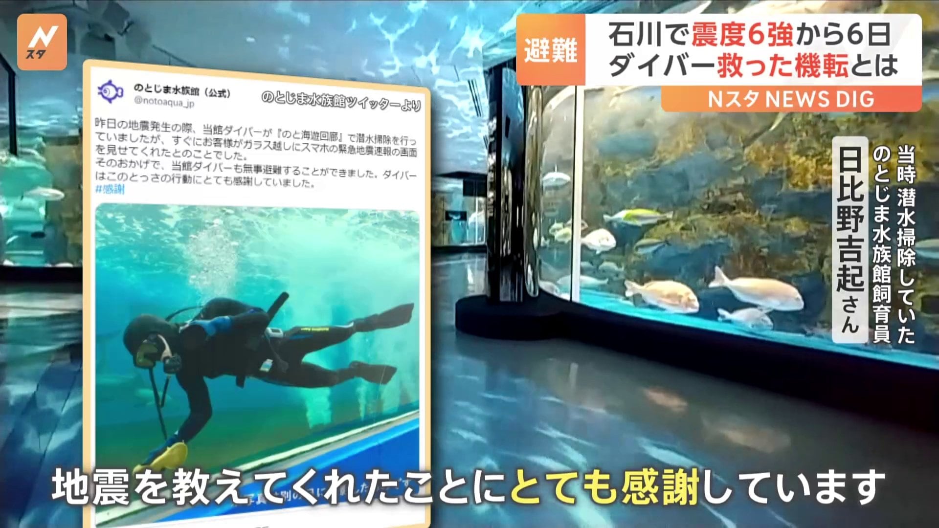放棄された水族館を訪れると終末的なシナリオが再現される