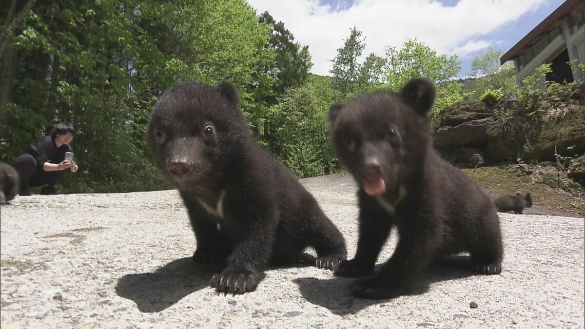 img_8a7e8a6ffa0fa12fe199bce8b8