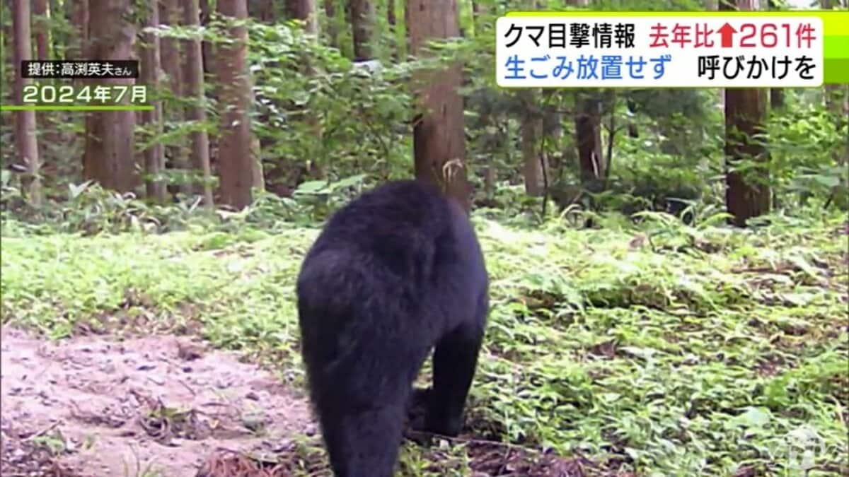 2024年の同時期比で261件増 「クマの目撃情報」相次ぐ青森県むつ市で