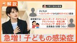 「ヘルパンギーナ」に「RSウイルス」子育て世代が悲鳴…子ども間で感染症が流行 主な初期症状と対策は?【Nスタ解説】|TBS NEWS DIG