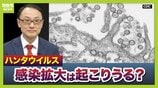 【ハンタウイルス】致死率40%の型も…パンデミックはあり得る？専門家「医療体制次第で治療可能」一方で「ウイルス変異によって感染力が強くなる可能性」指摘　ヒト→ヒト感染の『アンデス株』クルーズ船乗客から検出　|　MBSニュース | 関西の最新ニュースを分かりやすく。