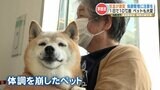『大変なのは人間だけではありません』日によって10度近く変化する激しい寒暖差 熱中症に注意を | 熊本のニュース|RKK NEWS|RKK熊本放送