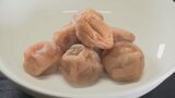 「ここまで少ないのは異例」梅が不作 梅干し製造会社は販売計画を見直し 山梨|TBS NEWS DIG