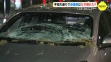 平和大通り 街路樹 なぜ倒れた？ 樹木医の見解は… 約2000本を緊急点検へ　広島【動画ニュース】　|　RCC NEWS | 広島ニュース | RCC中国放送