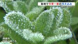 「布団から出たくない」阿蘇で氷点下0.5度 九州で今季初の冬日に 日中との気温差に注意【熊本県内各地 20日(水)の予想最高気温】 | 熊本のニュース|RKK NEWS|RKK熊本放送