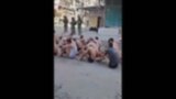 ガザ戦闘で死者1万7400人以上　下着姿でパレスチナ人「集団拘束」の映像に批判|TBS NEWS DIG