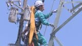 台風など災害に備えて…停電想定の復旧作業訓練「迅速・安全な作業を」 山口・宇部 | 山口のニュース・天気・防災|tys NEWS|tysテレビ山口