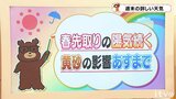 土日の天気　17日（土）まで季節先取りの陽気続く　黄砂の飛来にも注意　 愛媛|TBS NEWS DIG