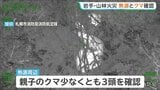 熱源3か所、親子のクマ3頭も確認　岩手・大槌町の山林火災　地上からの消火隊投入は困難　海岸線近くを消火へ|TBS NEWS DIG