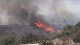 フランス南部　記録的熱波で大規模な山火事　約1万2000人超が避難　ツール・ド・フランスにも影響|TBS NEWS DIG