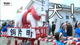 化け物を退治した”メッケ犬”?大名行列ならぬワンちゃん行列? 庄内三大祭り「大山犬祭り」が行われる 5年ぶりに日本酒の振る舞いも!(山形・鶴岡市) | 山形のニュース│TUYテレビユー山形