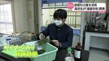 捨てられる「杉の葉っぱ」で歯磨き粉 虫歯菌に抗菌効果 2年半かけて開発したのは高校生 | MRTニュース | MRT宮崎放送