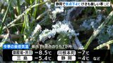 【最強寒波】「きのうより寒い きつい」26日朝も厳しい寒さ　静岡市井川と御殿場-8.5℃、三島-5.4℃、静岡-4℃…7観測地点で今季最低気温に|TBS NEWS DIG