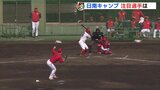 “最も振れている” 田村俊介 ＆ “ゼロから打撃改造” 坂倉将吾 アピール　広島カープ 日南キャンプ 紅白戦　新投法で早くも148キロ　塹江敦哉　|　RCC NEWS | 広島ニュース | RCC中国放送