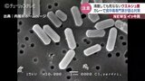 カレーで集団食中毒 原因の「ウエルシュ菌」は100度でも死滅しない どんな条件で増殖?専門家が語る対策 | 富山のニュース|天気・防災|チューリップテレビ