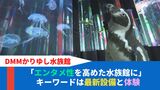 コロナ禍を乗り越えろ 最新技術や貴重な体験ができる水族館の魅力とはー | 沖縄のニュース|RBC 琉球放送