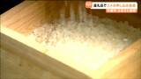 「うれしい気持ちはあるものの対応に苦慮」ふるさと納税の返礼品“コメの申し込み”3倍近くに急増 宮城・大崎市 | 宮城のニュース│tbc NEWS│tbc東北放送