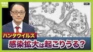 【ハンタウイルス】致死率40%の型も…パンデミックはあり得る？専門家「医療体制次第で治療可能」一方で「ウイルス変異によって感染力が強くなる可能性」指摘　ヒト→ヒト感染の『アンデス株』クルーズ船乗客から検出　|　MBSニュース | 関西の最新ニュースを分かりやすく。