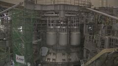 【独自】“次世代エネルギー”核融合発電の成長戦略案判明　3兆円規模投資で世界に先駆けて2030年代の発電実証を実現 世界市場シェア3割獲得目指す| TBS CROSS DIG with Bloomberg
