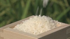 【速報】「向こう3か月」のコメ価格見通し　“現時点と同程度“との回答が多く「横ばい」の結果に| TBS CROSS DIG with Bloomberg