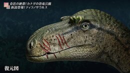 「ジュラシック・パーク」と似た世界遺産が伝える「生命進化の記録」　カナダ・恐竜州立公園【世界遺産】|TBS NEWS DIG