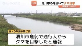 「60年でクマは初めて」海岸近くでクマの目撃情報　ドローンなどで捜索も痕跡見つからず　近くの小学校は休校など影響も　富山・滑川市|TBS NEWS DIG