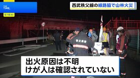 西武秩父線沿線で山林火災 一時運転見合わせ　けが人なし　埼玉・横瀬町　|TBS NEWS DIG