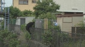 【速報】栃木県宇都宮市で相次ぐクマの目撃情報 JNNのカメラがクマの姿を住宅街で捉える|TBS NEWS DIG